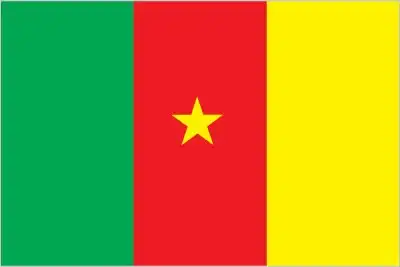 The flag of Cameroon features three vertical stripes of green, red, and yellow, with a yellow five-pointed star in the center of the red stripe. The green represents the southern forests, red symbolizes unity and independence, yellow represents the northern savannas and the sun, and the star represents unity.