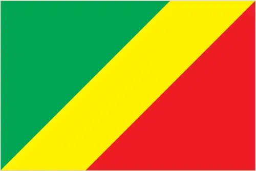 The flag of the Democratic Republic of the Congo features a sky blue field with a yellow-bordered red diagonal stripe from the lower hoist to the upper fly, and a yellow five-pointed star in the upper hoist corner. The blue represents peace, the red symbolizes the blood of the country's martyrs, the yellow represents the country's wealth, and the star represents the bright future of the nation.